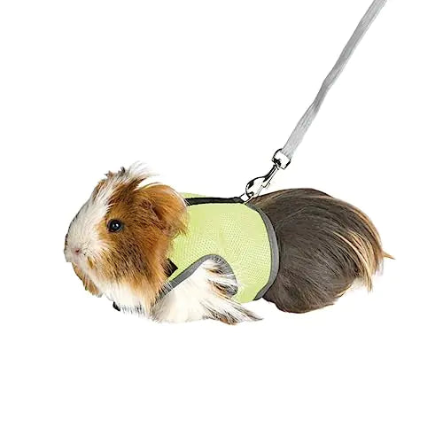 MANON ROSA Rabbit Harness and Leash Set - Adjustable Escape-Proof Training and Walking Gear for Guinea Pigs Bunnies Chinchillas Hamsters Ferrets Rats Kittens and Small Dogs Puppies Cats (GreenM)